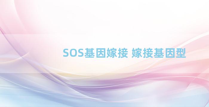 SOS基因嫁接 嫁接基因型